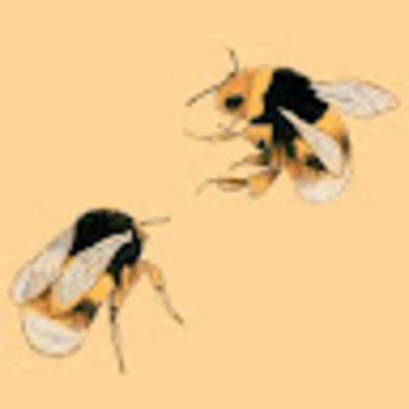 the2bees